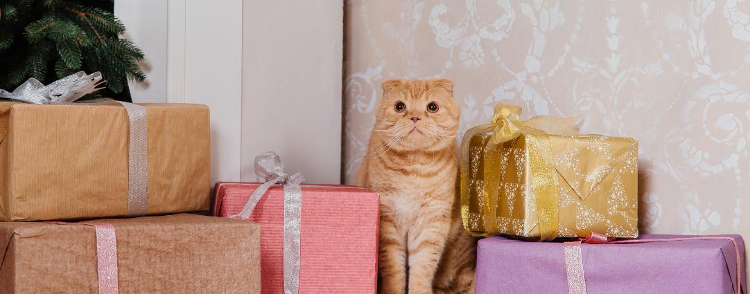 Meaningful Animal Gifts: What Each Symbol Represents in Our Menagerie