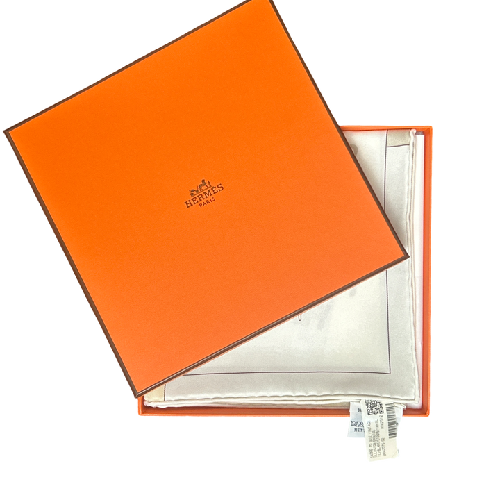 Hermes Illusion Exquise Scarf | Framed Hermes Scarf at Vintage Luxe Up