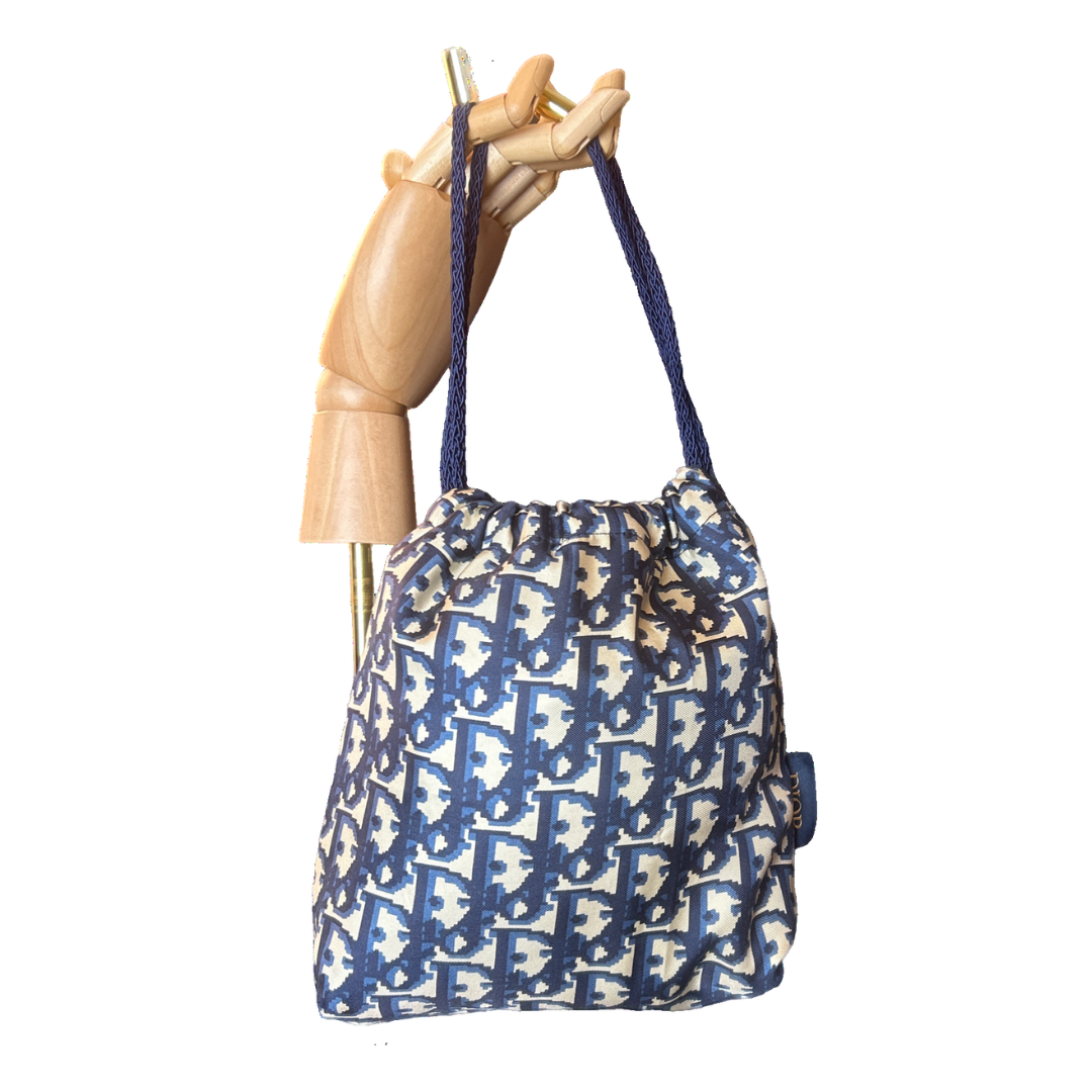 Dior Trotter Blue Scarf | Dior Crossbody Bag