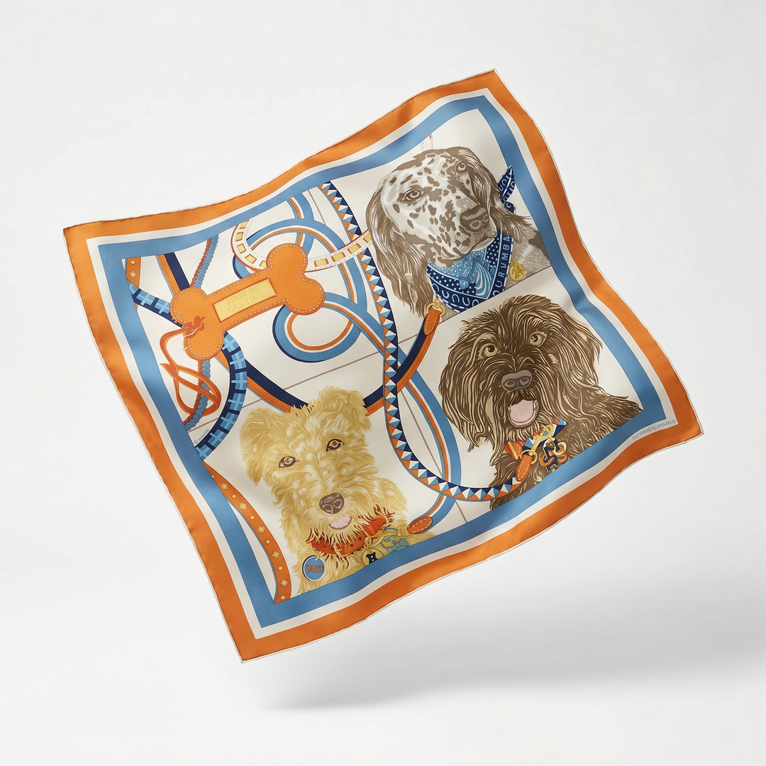 Hermes Jour de Casting Detail Scarf | Framed Hermes Scarf