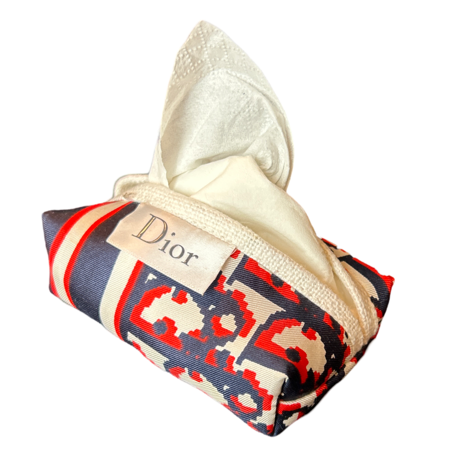 Dior Trotter Scarf Travel Tissue Pouch
