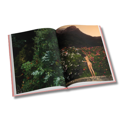 Louis Vuitton: The Birth of Modern Luxury Updated Edition Coffee Table Book