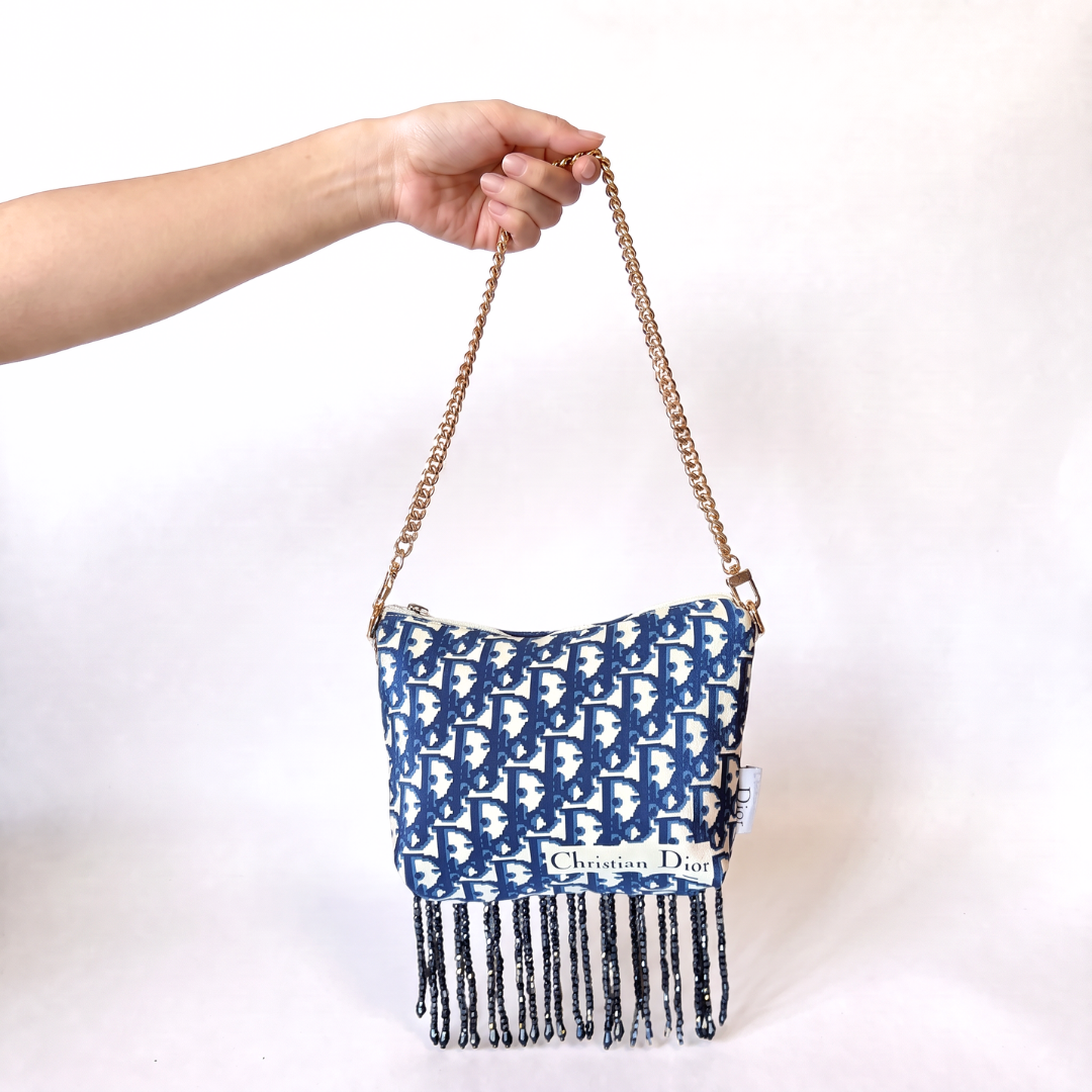 Dior Trotter Blue Scarf | Dior Crossbody Bag