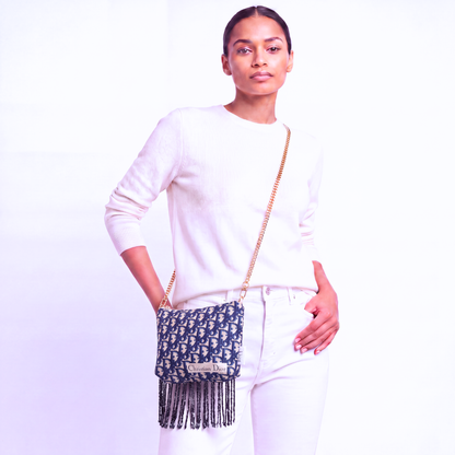 Dior Trotter Blue Scarf | Dior Crossbody Bag