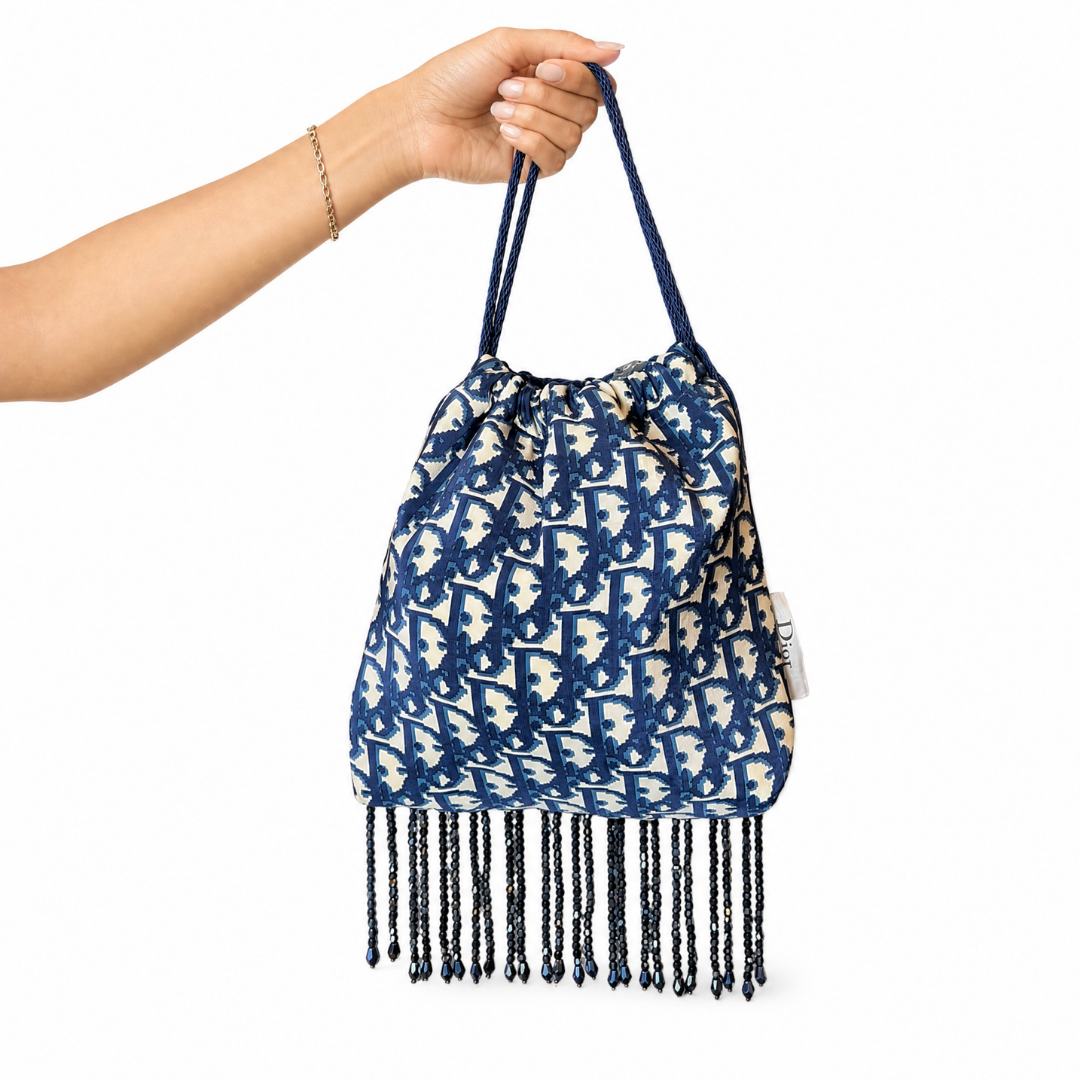 Dior Trotter Blue Scarf | Dior Crossbody Bag