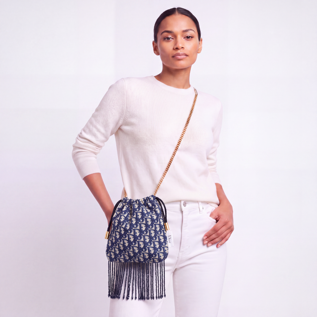Dior Trotter Blue Scarf | Dior Crossbody Bag